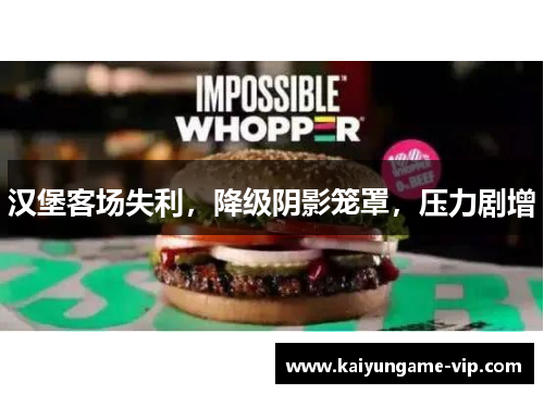 汉堡客场失利，降级阴影笼罩，压力剧增
