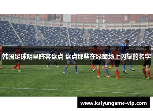 韩国足球明星阵容盘点 盘点那些在绿茵场上闪耀的名字